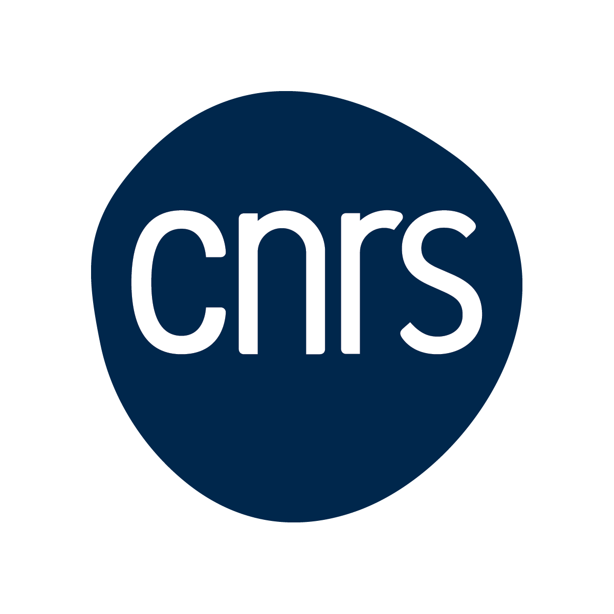 Centre National de la Recherche Scientifique (CNRS)